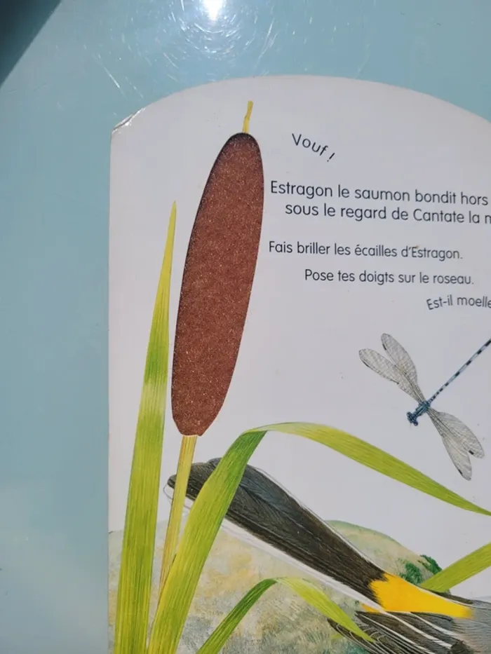 Rare, Superbe livre grand format à toucher 🐢 La vie dans la rivière 🐟 - photo numéro 8