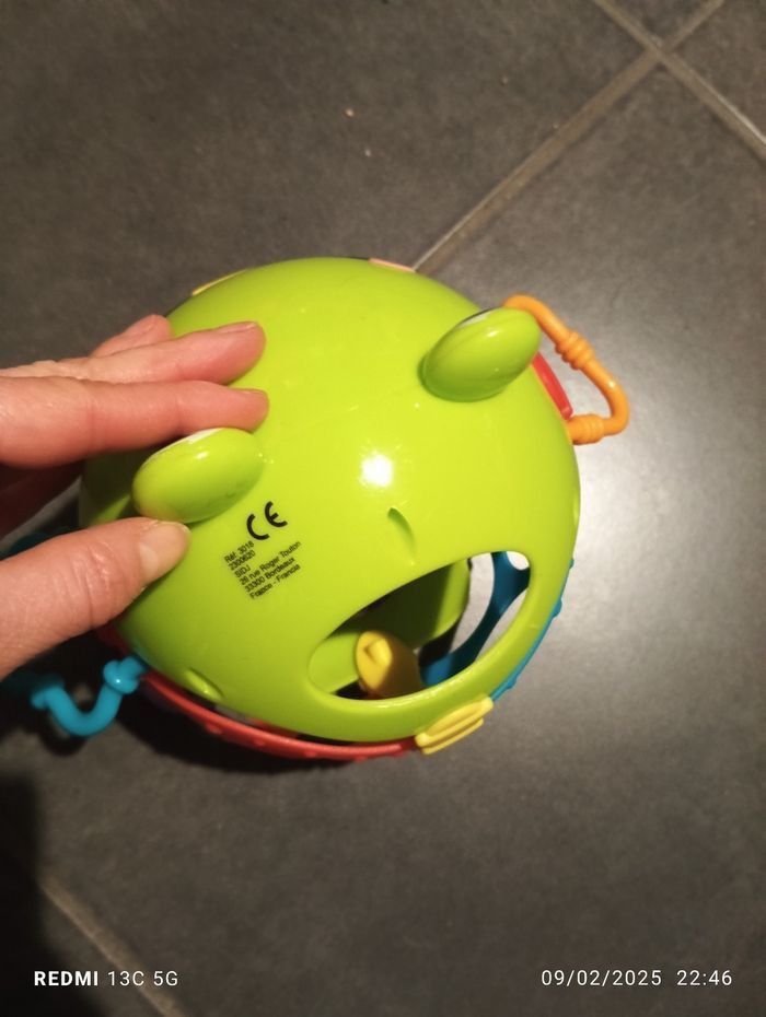 Grenouille d'activités - photo numéro 3