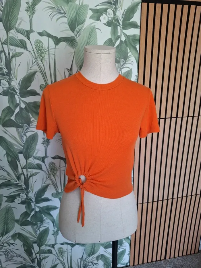 Top court orange