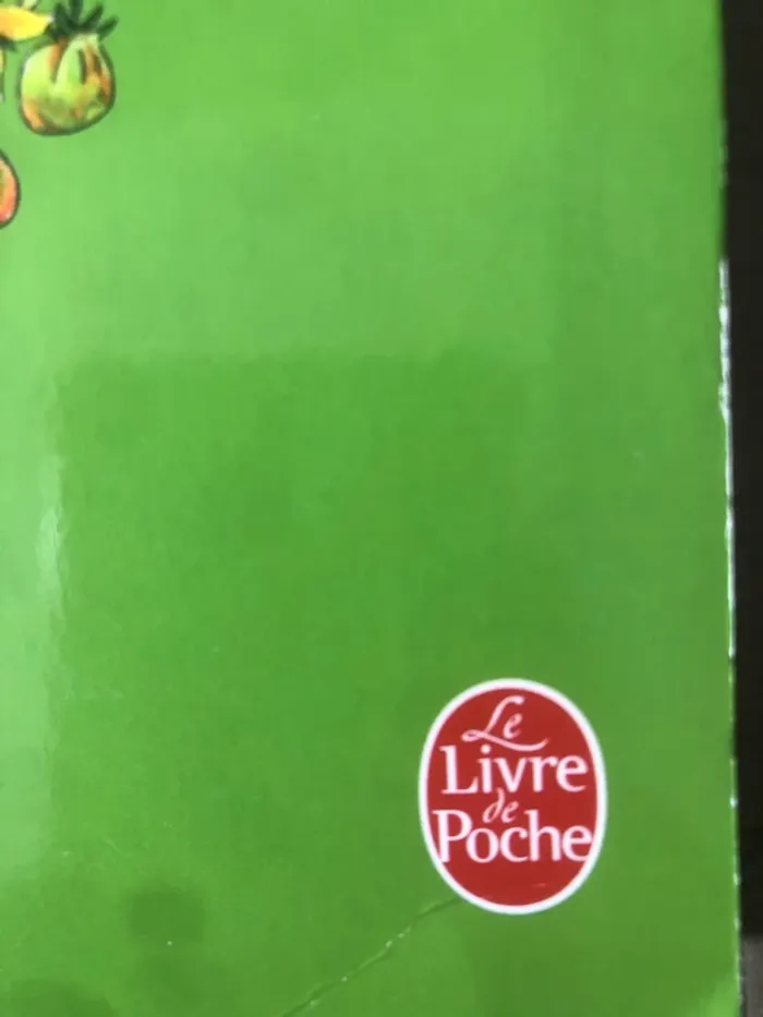 Livre Tom petit Tom tout petit homme Tom édition poche 📕 - photo numéro 4