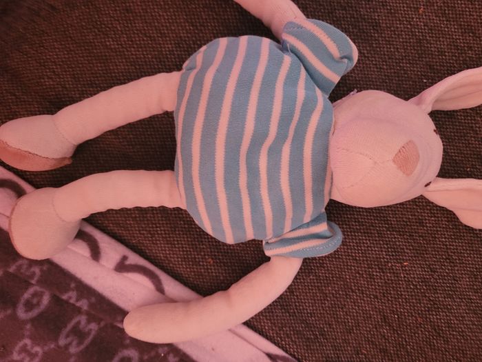 Doudou - photo numéro 2