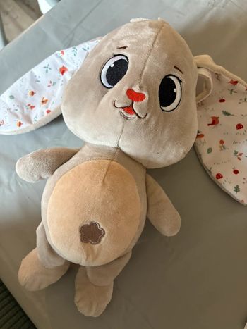 Beau Doudou lapin neuf mignon