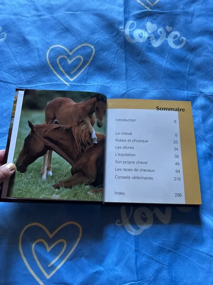 Lexiguide des chevaux - photo numéro 2
