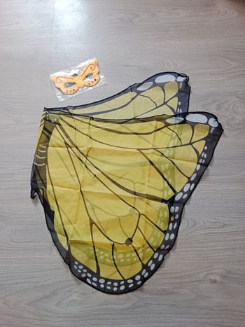 Déguisement papillon 