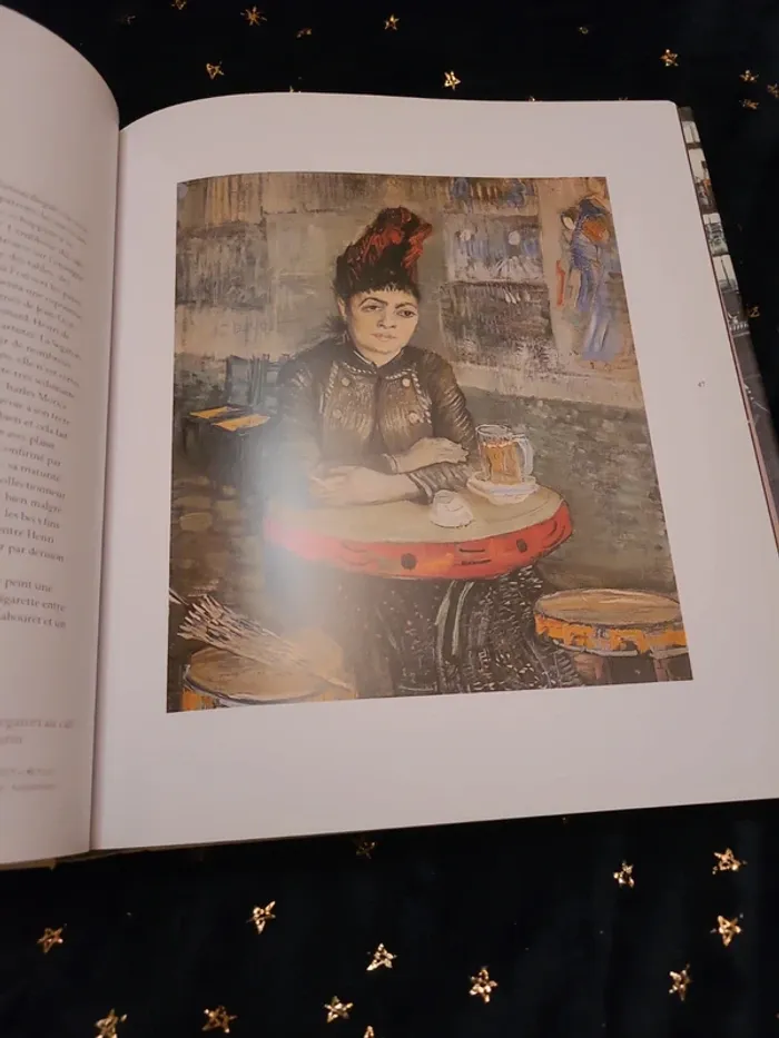 Livre Van Gogh à l'Auberge Ravoux - photo numéro 9