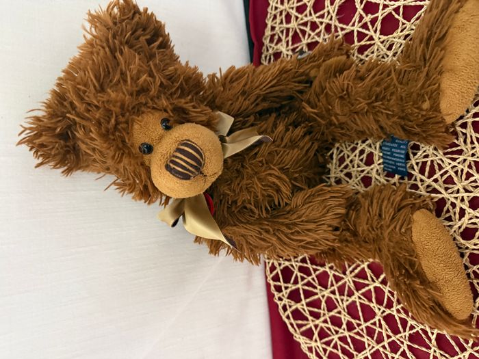 doudou ours marron trudi - photo numéro 4