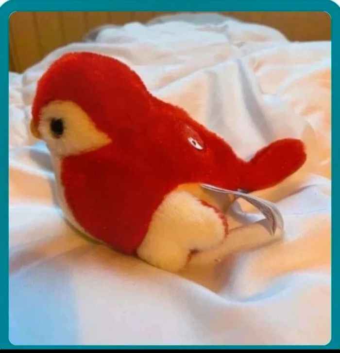 Oiseau - photo numéro 2