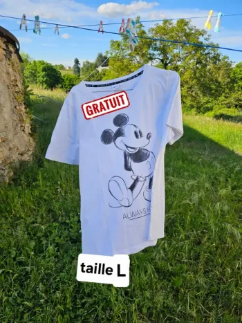 TEE shirt Mickey gratuit