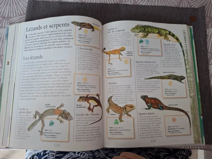 Livre Larousse junior des animaux - photo numéro 4