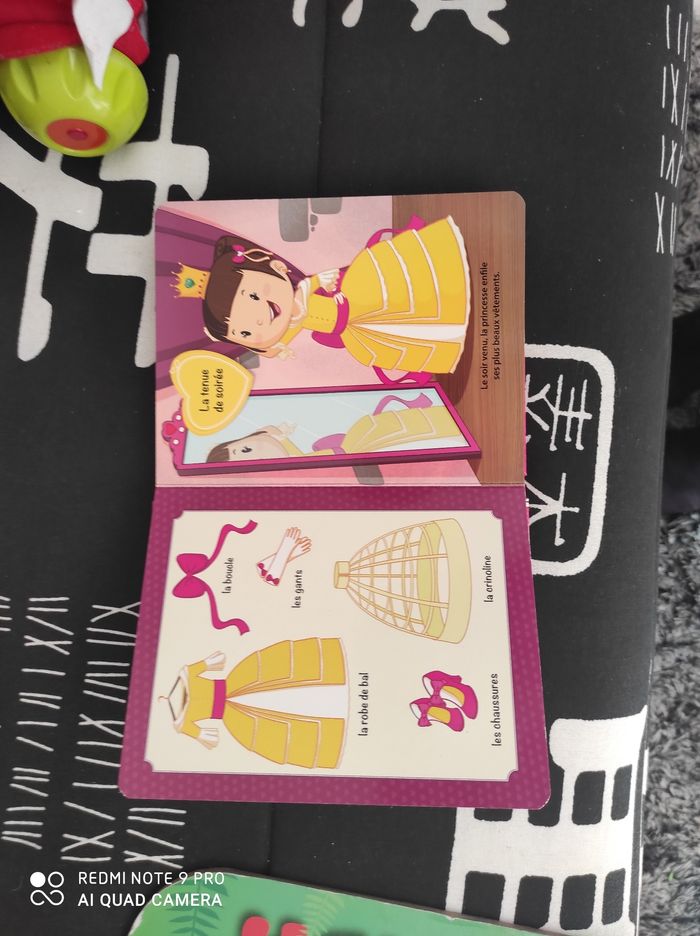 Livre tout sur les princesses - photo numéro 2