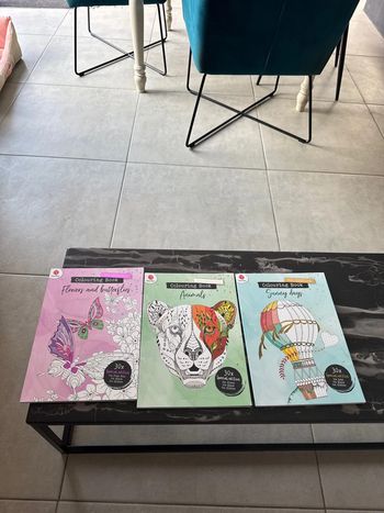 Lot cahier de coloriage