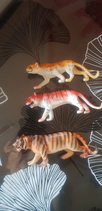 3 tigres