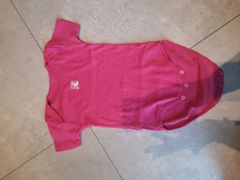 Bodie 2 ans influx rose