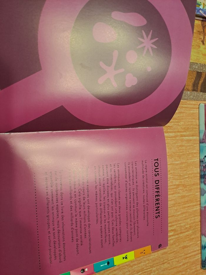 Le plein de choses - photo numéro 2