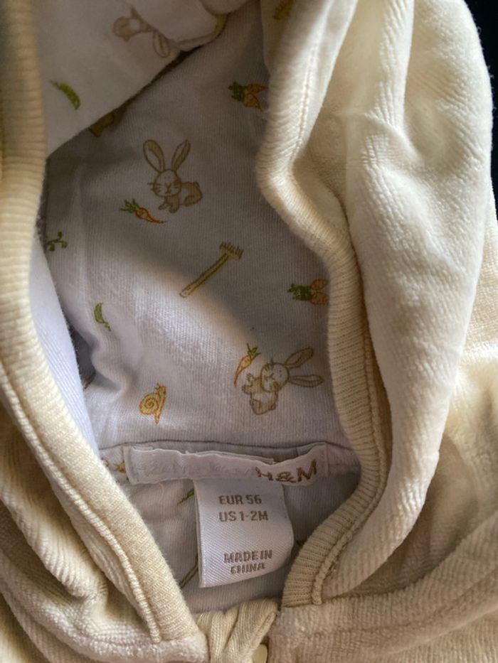 Ensemble - photo numéro 5