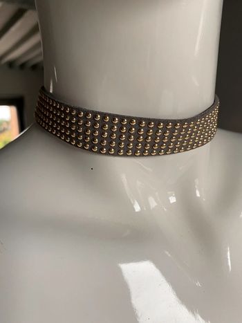 Collier de chien doré sur lanière grise