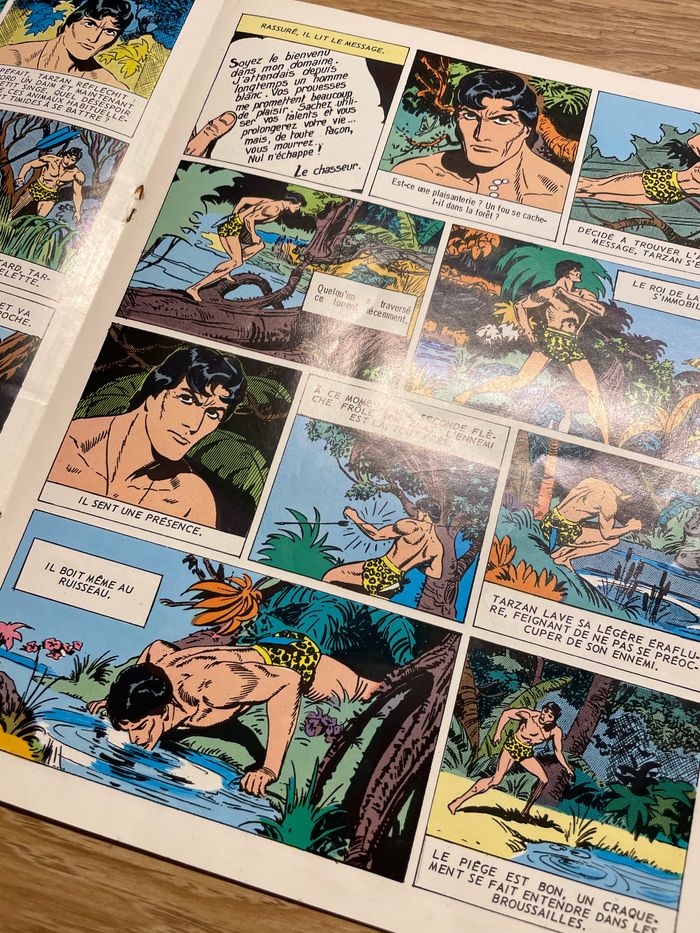 Tarzan - photo numéro 3