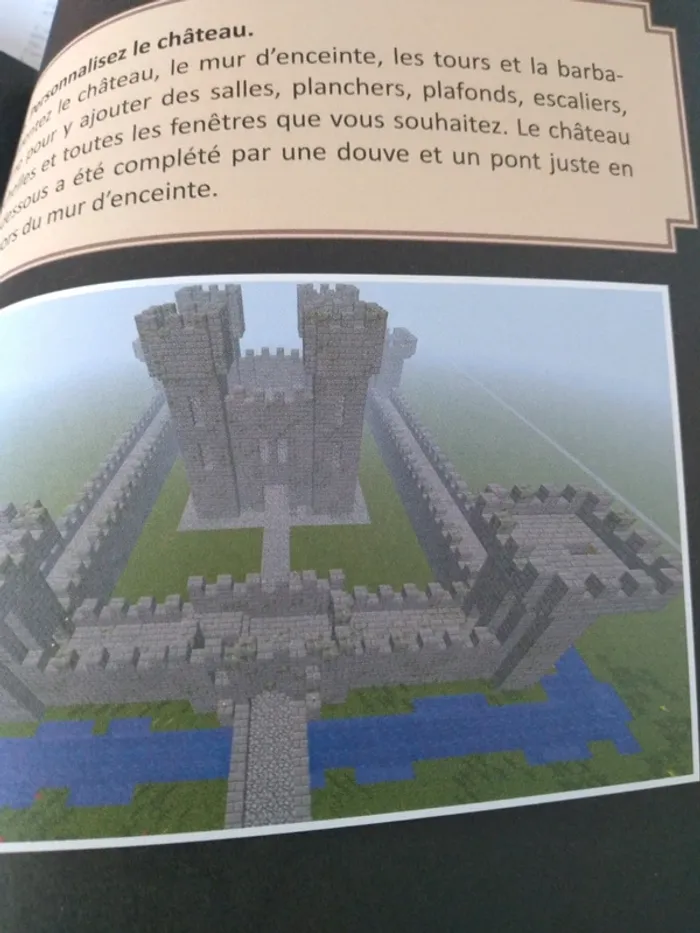 Livre Minecraft - photo numéro 3