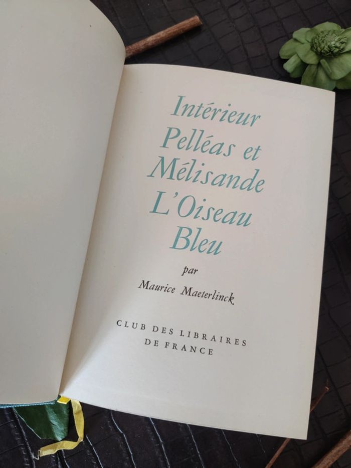 Intérieur Pelléas et Mélisande / L'oiseau bleu - Maurice Maeterlinck - photo numéro 3