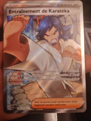Carte dresseur entraînement Karaté d'heros transcendant 