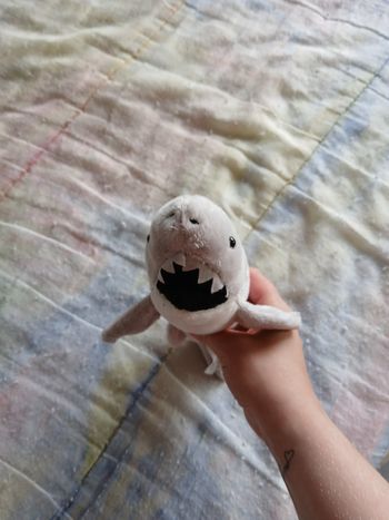 Peluche requin