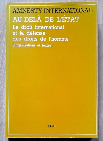 Amnesty International - Au delà de l'état