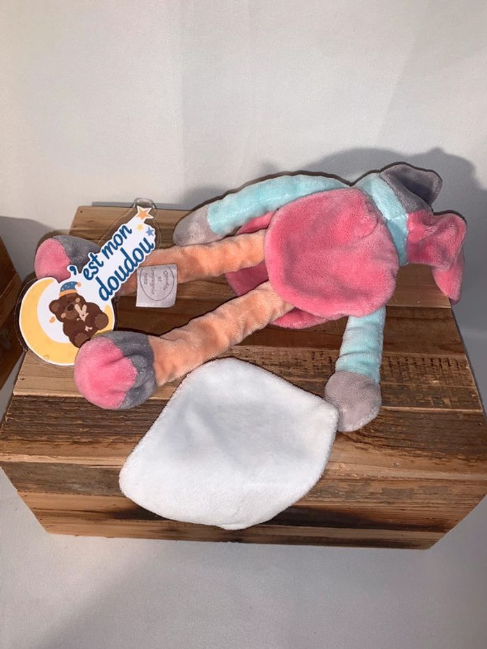 DDC05 doudou ours doudou et compagnie - photo numéro 2