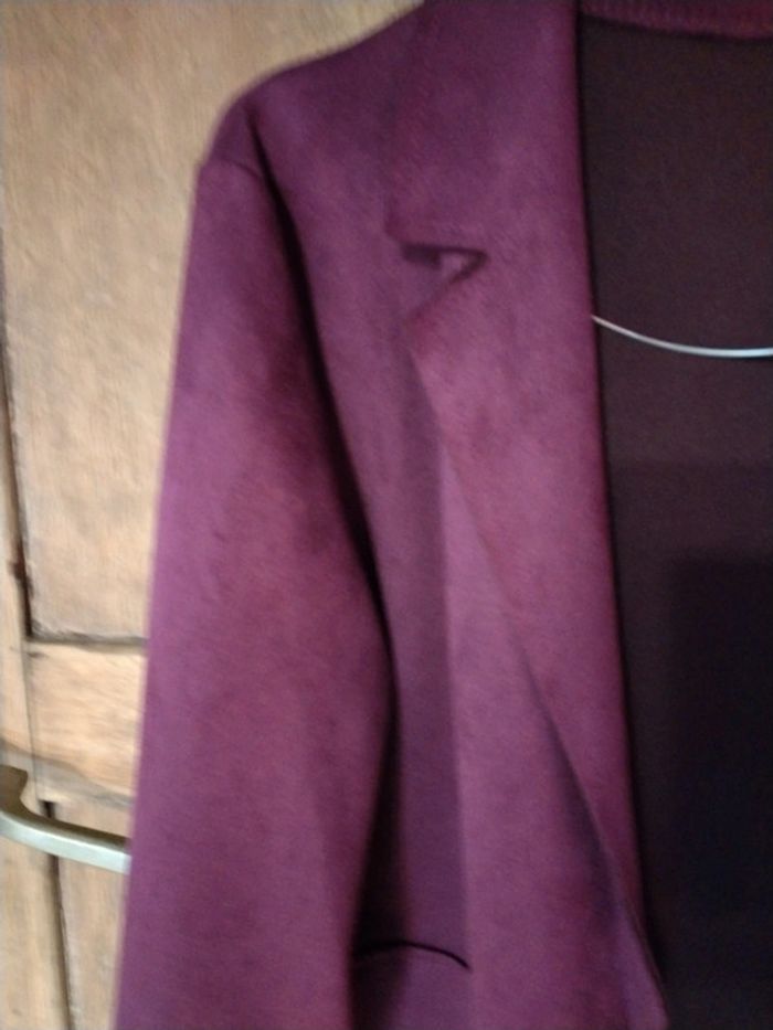 Blazer couleur prune - photo numéro 2