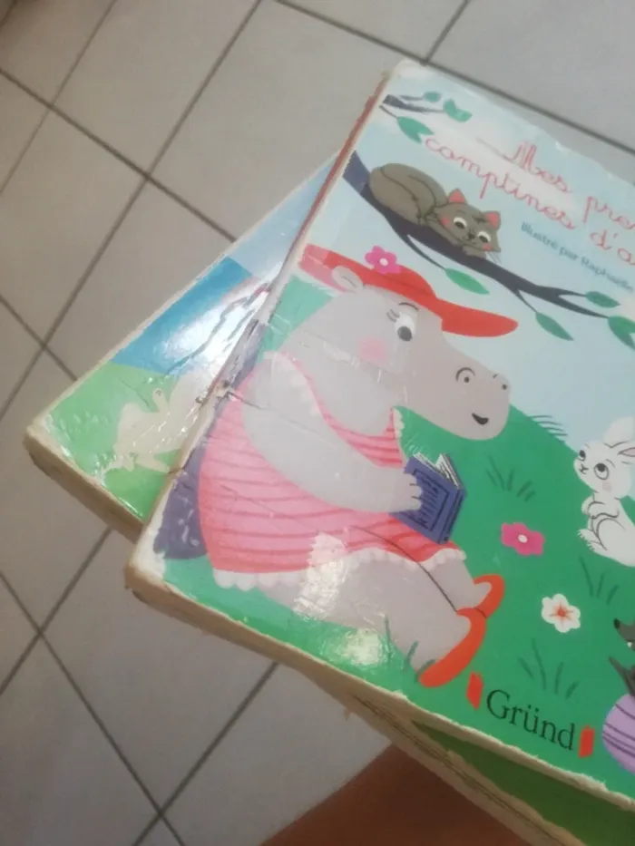 Lot de deux livres pour bébé - photo numéro 6