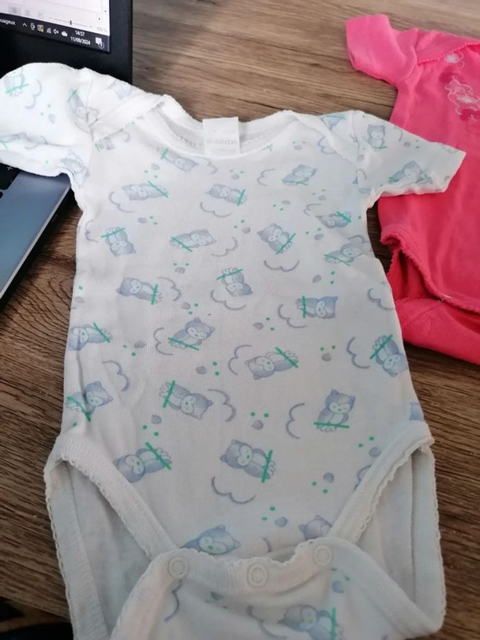 Bodys absorba - photo numéro 2