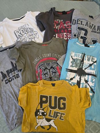 Lot de 7 tee-shirts manches courtes garçon 12 ans 