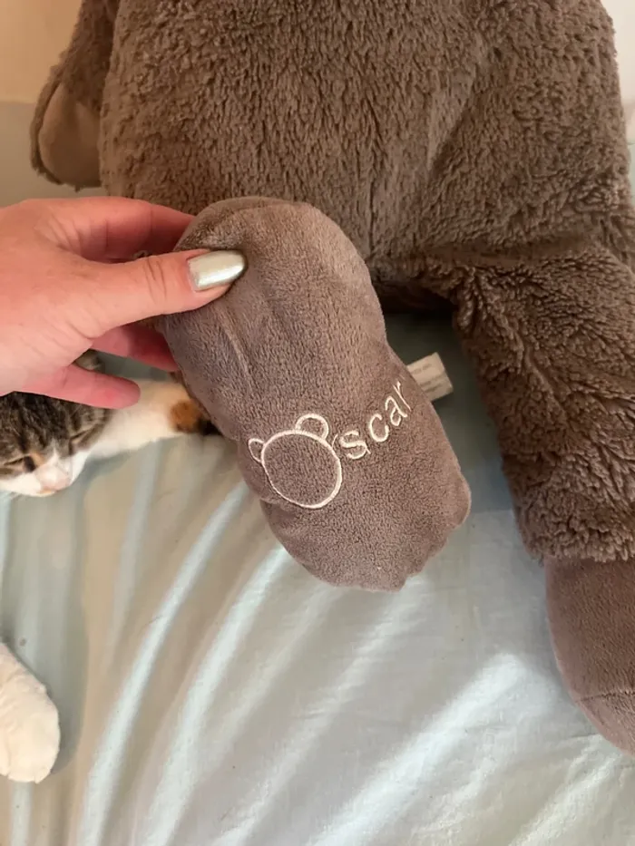 Grande peluche ours oscar j line - photo numéro 2