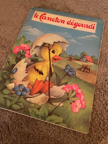 Livre - Le caneton dégourdi