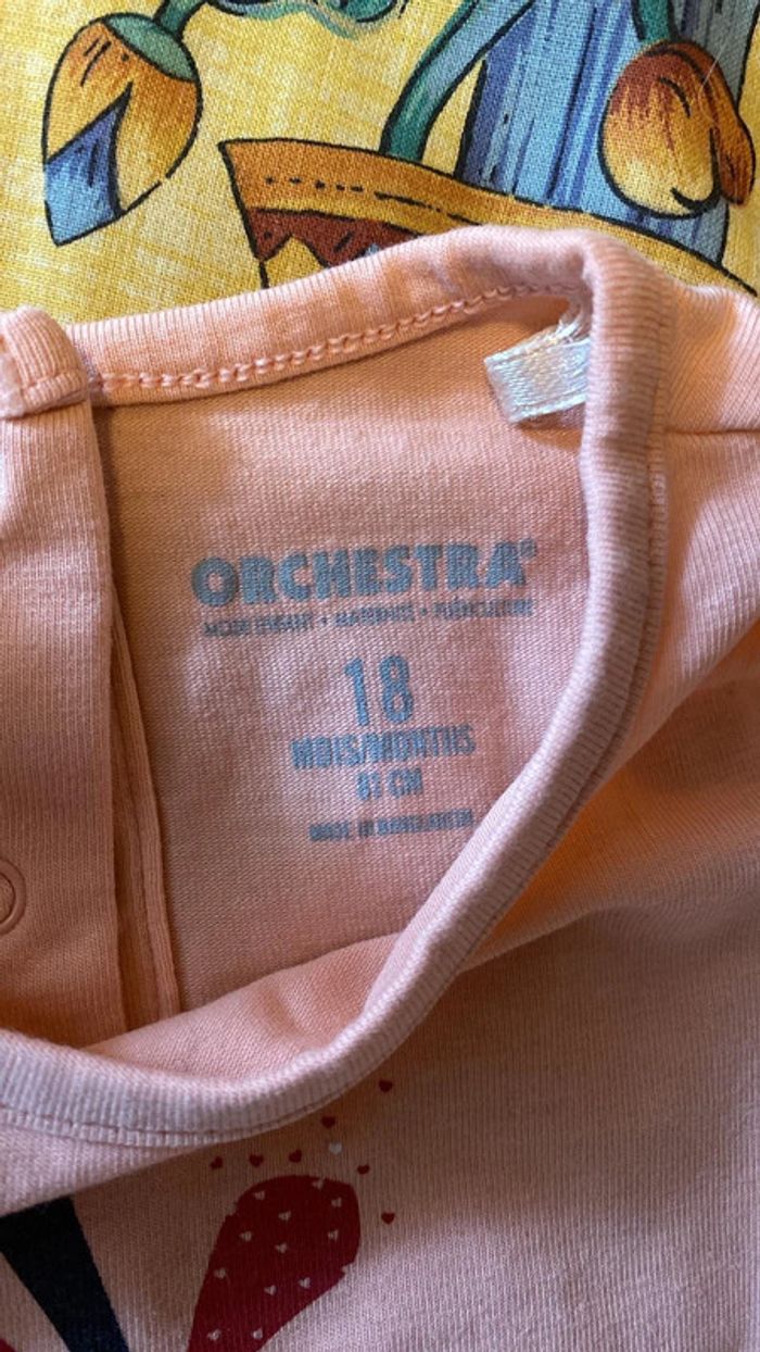 T-shirt 18mois 🍎 - photo numéro 3