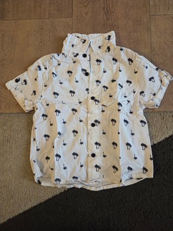 Chemises manche courte 