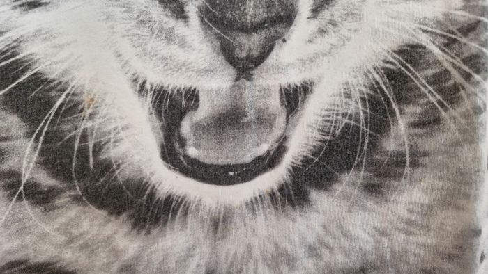 (372) articles disponibles T.shirt In Extenso 12 ans - photo numéro 4