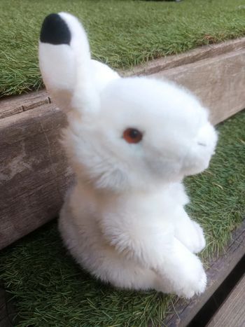 Peluche lapin blanc