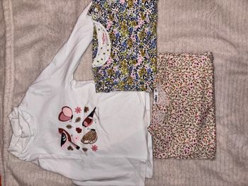 Lot Pull Fille 2 ans
