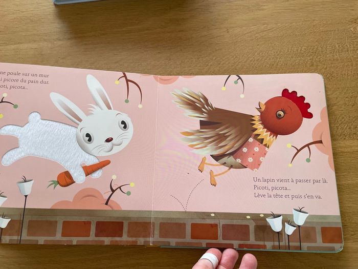 Une poule sur un mur histoire à toucher - photo numéro 5