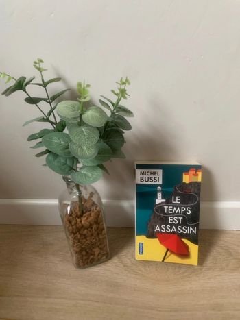 • Livre Bussi ~ Le temps est assassin •