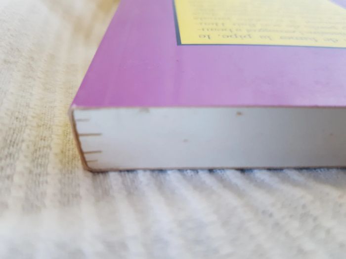 L assassin n aime pas la corridas de jacques Venuleth - photo numéro 6