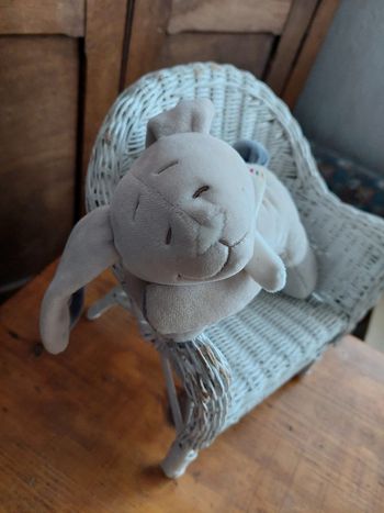 Doudou veilleuse Bao et Wapi Noukie's