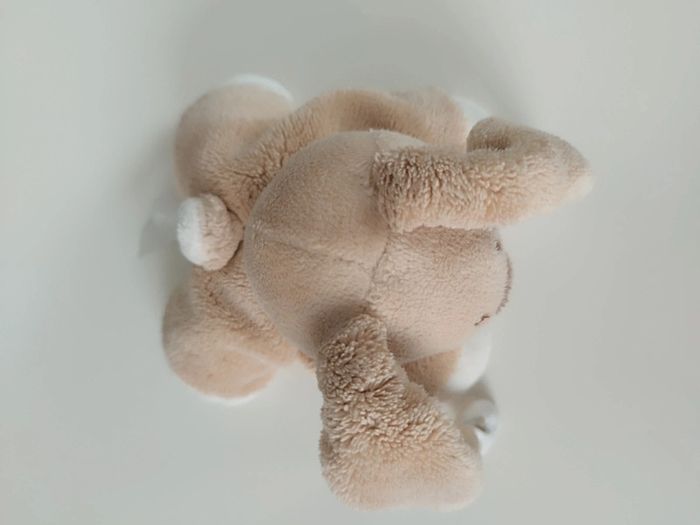 Lapin crème Nattou - photo numéro 3