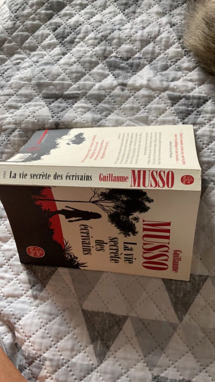 #la vie secrète des écrivains Guillaume Musso ) - photo numéro 4