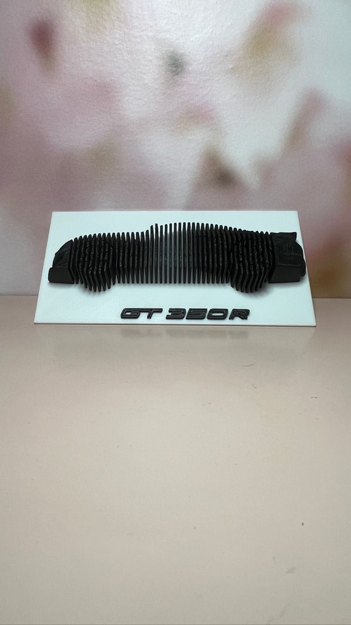 Sculpture mustang GT350R - photo numéro 3