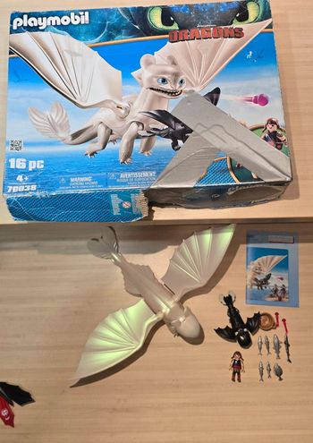 Playmobil dragons 70038