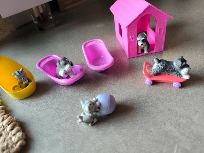 Lot chiens/ chats - photo numéro 2