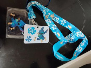 Porte carte Disney steech