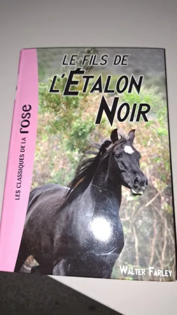Livre neuf, le fils de l étalon noir