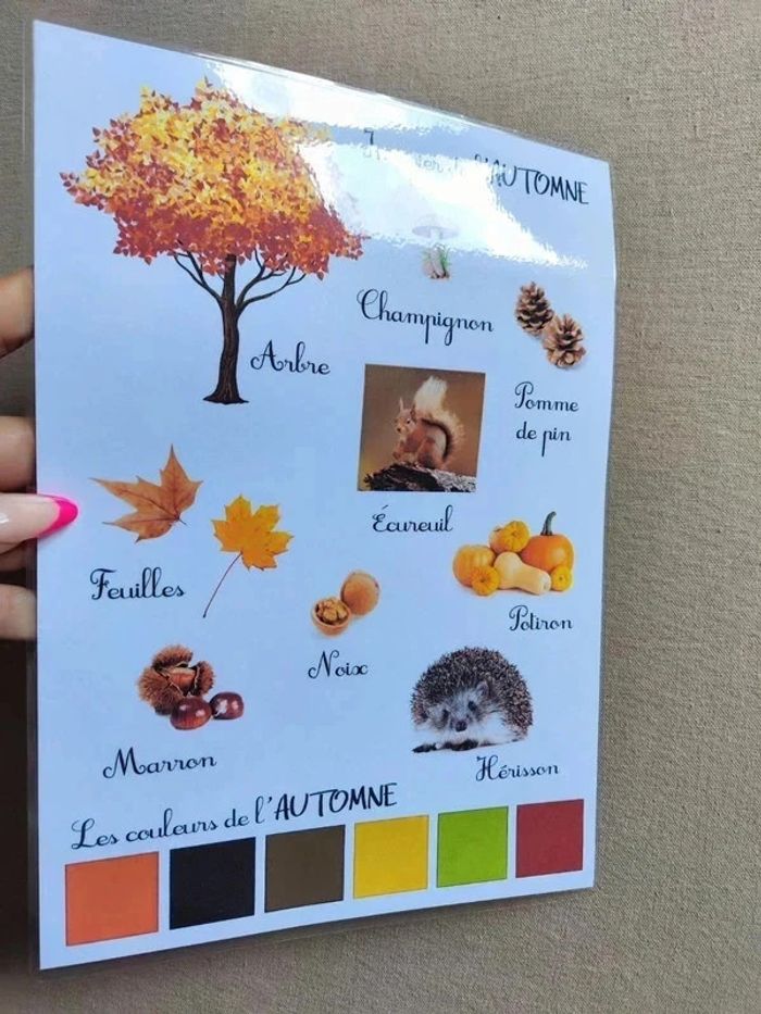 Imagier de l'automne A4 - photo numéro 3
